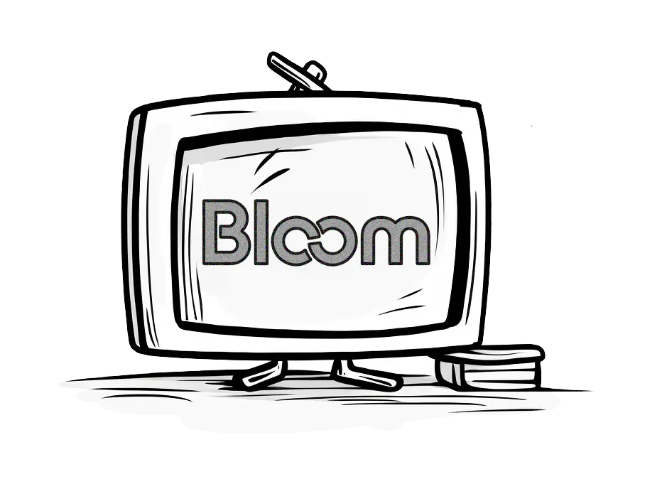 Bloom Analytics demo call